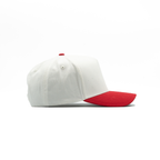 2499 — 5 Panel A-Frame w/ Suede Under Bill